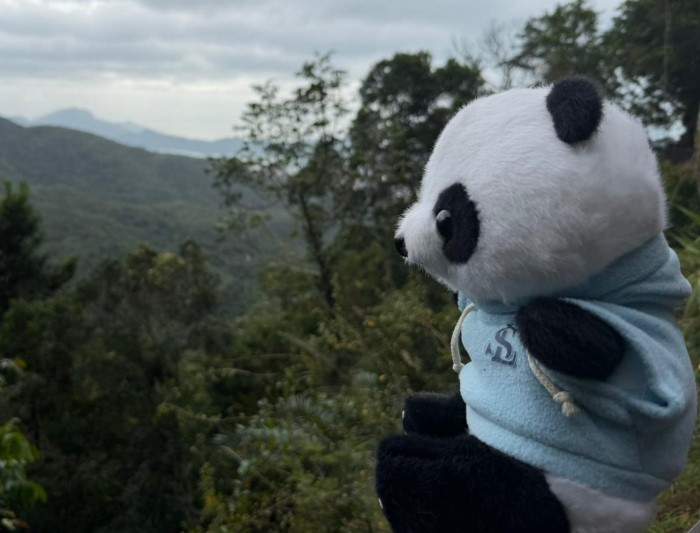 LoebSmith Team Album Image